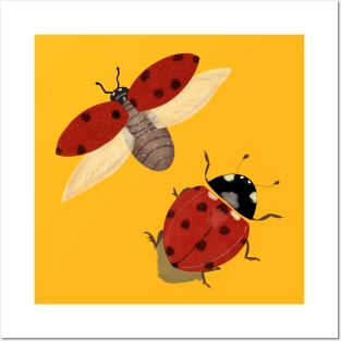 Lady Bugs Posters and Art